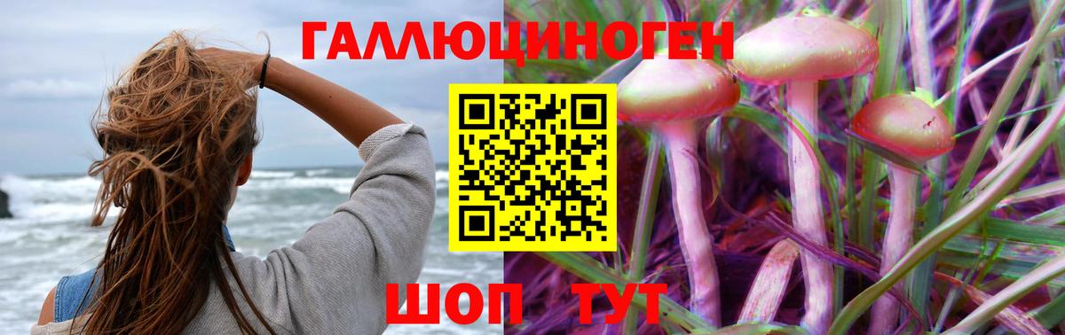 наркотики  Псилоцибиновые грибы Cubensis  Вход с VPN  Славгород 
